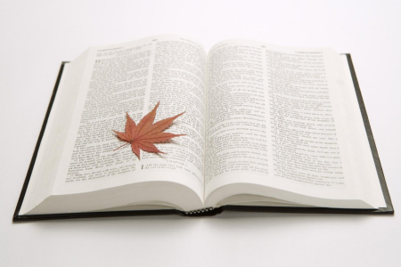 上海市高等教育自学考试报名流程